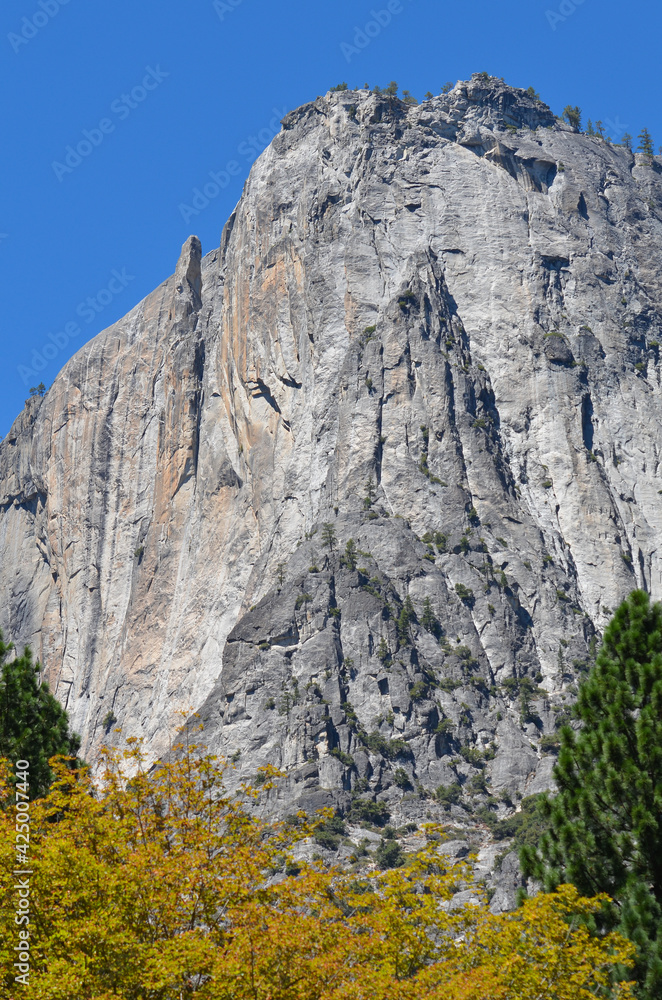 Yosemite National Park -  California, United States of America