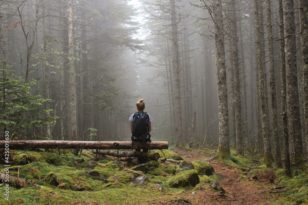 Hike to the forest in autumn. A young girl goes to the mountains with a backpack.