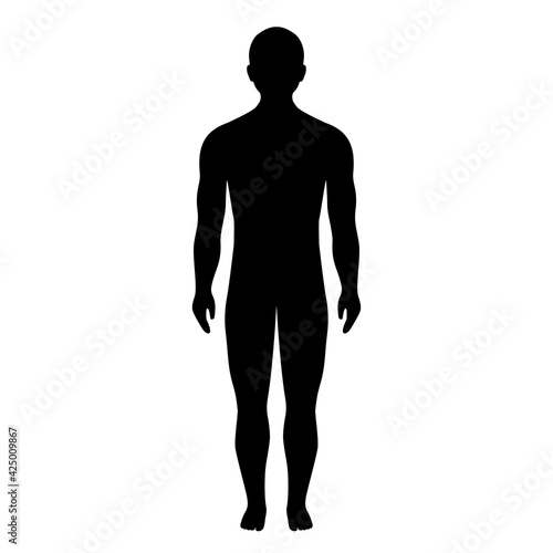 Human body silhouette, vector icon