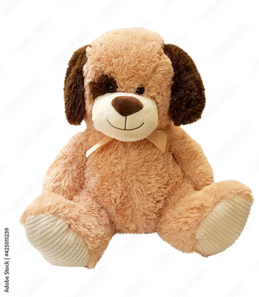 Obraz premium isolated teddy bear