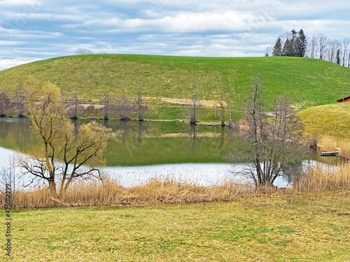 Late winter and early spring on the small natural lake Wilersee or Wiler lake above the canyon of the river Sihl, Menzingen - Canton of Zug, Switzerland / Schweiz photo