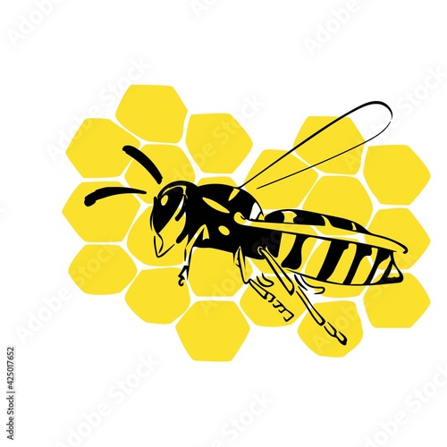 Wasp on honeycomb illustration black yellow isolated on white background photo