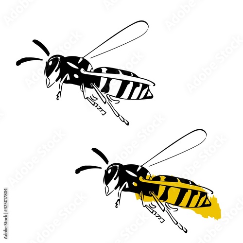 Wasp illustration black yellow isolated on white background