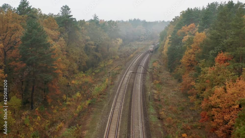 Train rides by rail in autumn forest. Aerial view. Train rides by rail in autumn forest. Aerial view.