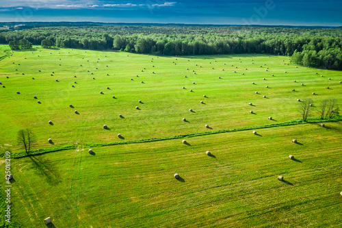 Sheaves of hay on green fie...