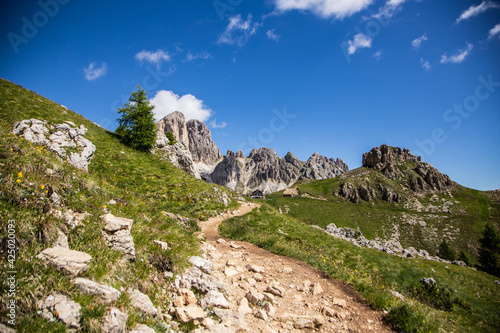 Dolomiti