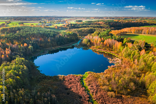 Small lake and autumn forest. Aerial view of wildlife  Poland