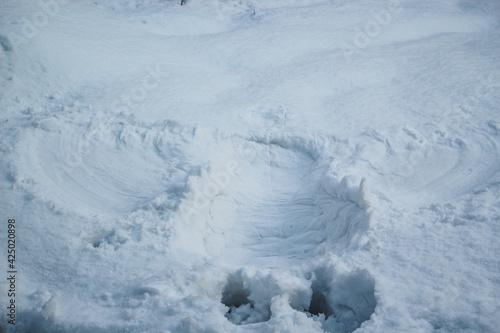 footprint in the snow. angel