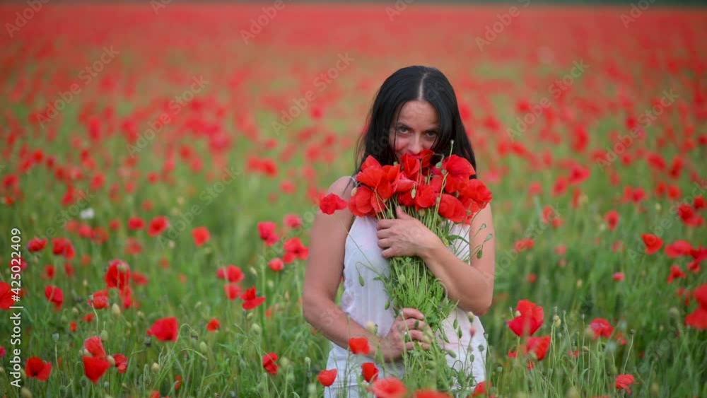 Portrait of a young girl in a blooming spring field collects a bouquet of red poppies. Girl relaxing outdoor, holding plant. Outdoor portrait. Portrait of a young girl in a blooming spring field collects a bouquet of red poppies. Girl relaxing outdoor, holding plant. Outdoor portrait.