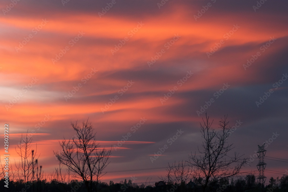 Fototapeta premium Whole sky covered in sunset clouds. Horizontal pattern. Horizontal stripes of sunset clouds. Majestic view of orange and pink sunset. 