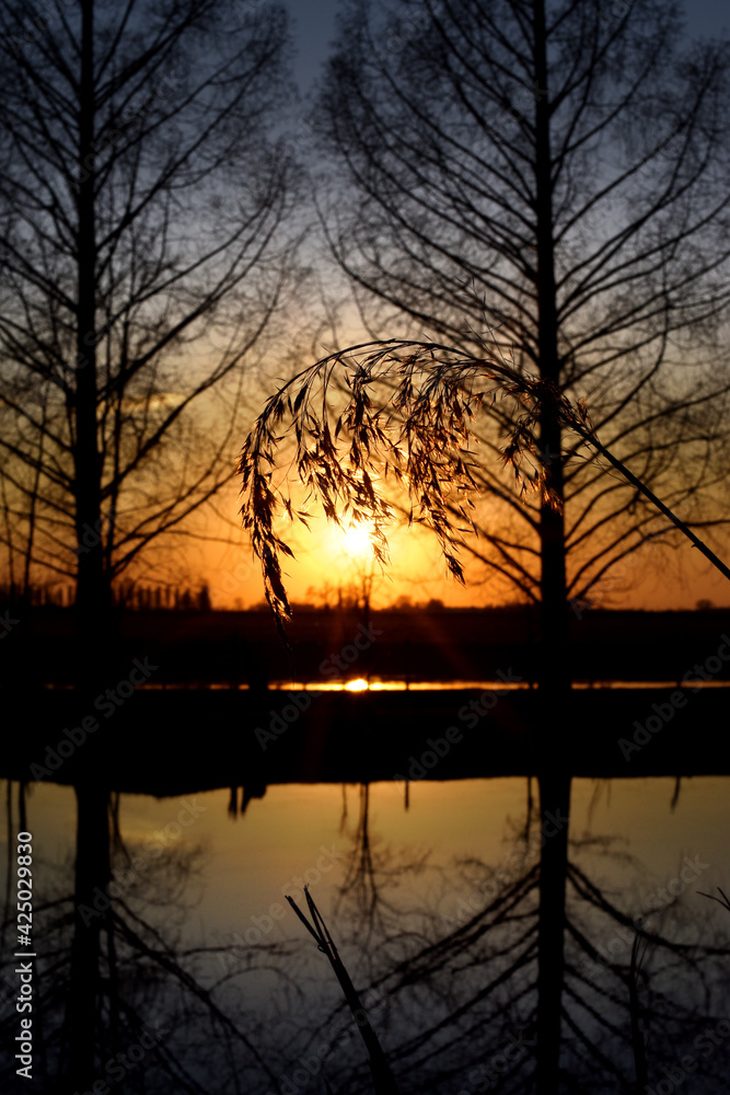 beautiful sunset on the river, colors, lights and reflections surround this wonderful countryside landscape beautiful sunset on the river, colors, lights and reflections surround this wonderful countryside landscape