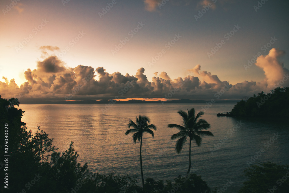 great sunset with spectacular clouds over the ocean with palms in the foreground
