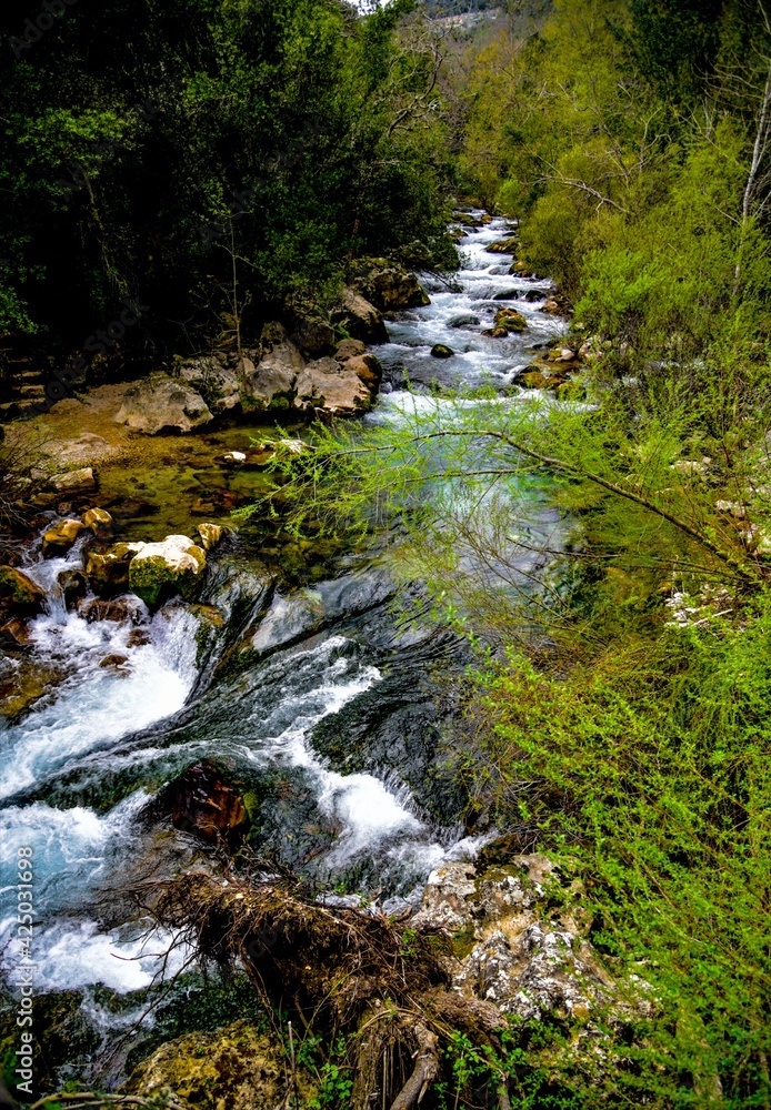 waterfall in the forest