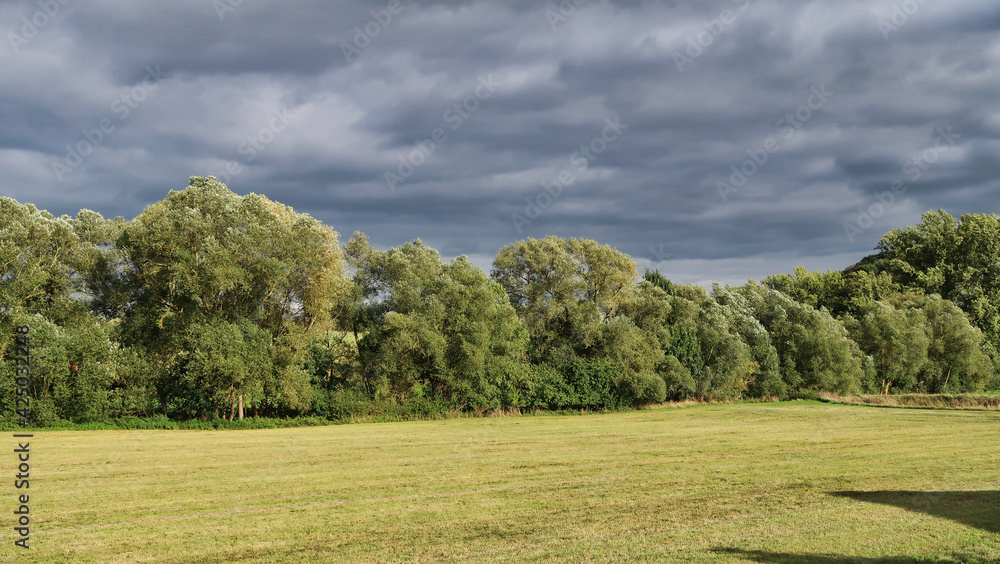 sunny green trees in green field under dramatic thunder grey clouds sunny green trees in green field under dramatic thunder grey clouds