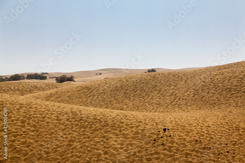 Dunas de Maspalomas en la isla de Gran Canaria, España photo