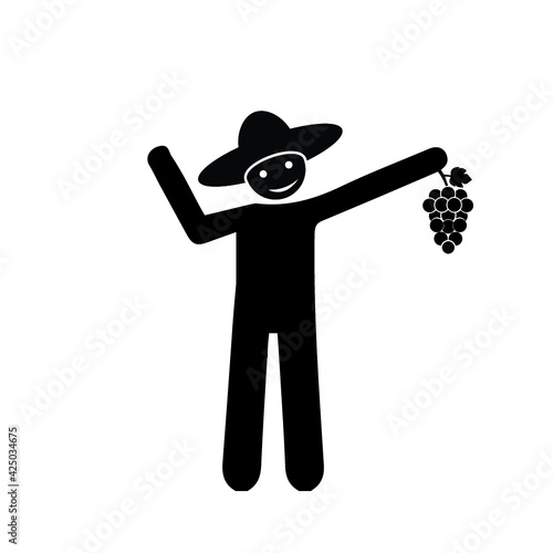 Farmer collecting grapes from field