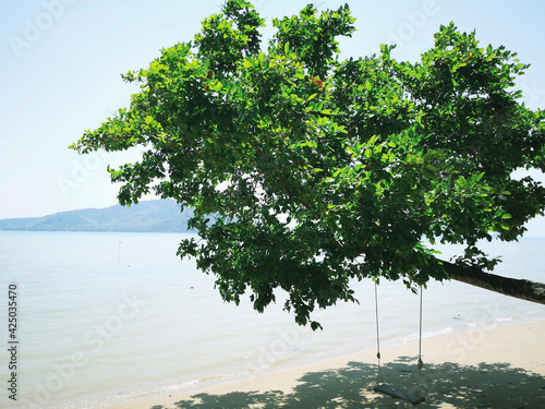 Fototapeta Naklejka Na Ścianę i Meble -  A tree swing in front of the beach