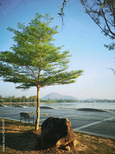 a nice view of a Ivory Coast almond at Phuket bay