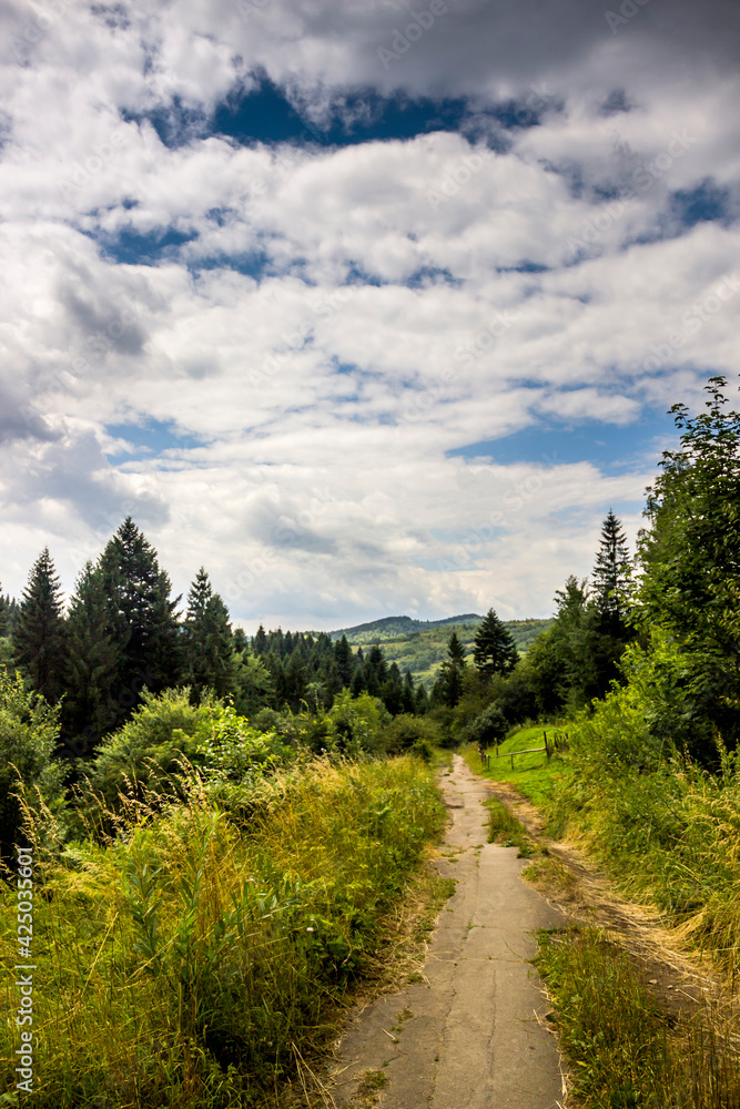 a rural road and landscape of the carpathian mountains, national park Skolivski beskidy, Lviv region of Western Ukraine