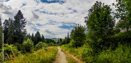 Fototapeta Naklejka Na Ścianę i Meble -  a rural road and landscape of the carpathian mountains, national park Skolivski beskidy, Lviv region of Western Ukraine