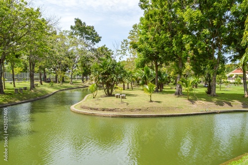 nature garden in country Thailand