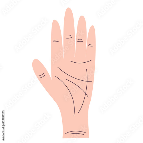 Hand lines for palmistry is isolated on white background. Flat illustration with lines. Esoteric vector. Vector hand drawing. A mystical drawing. Isolated illustration.