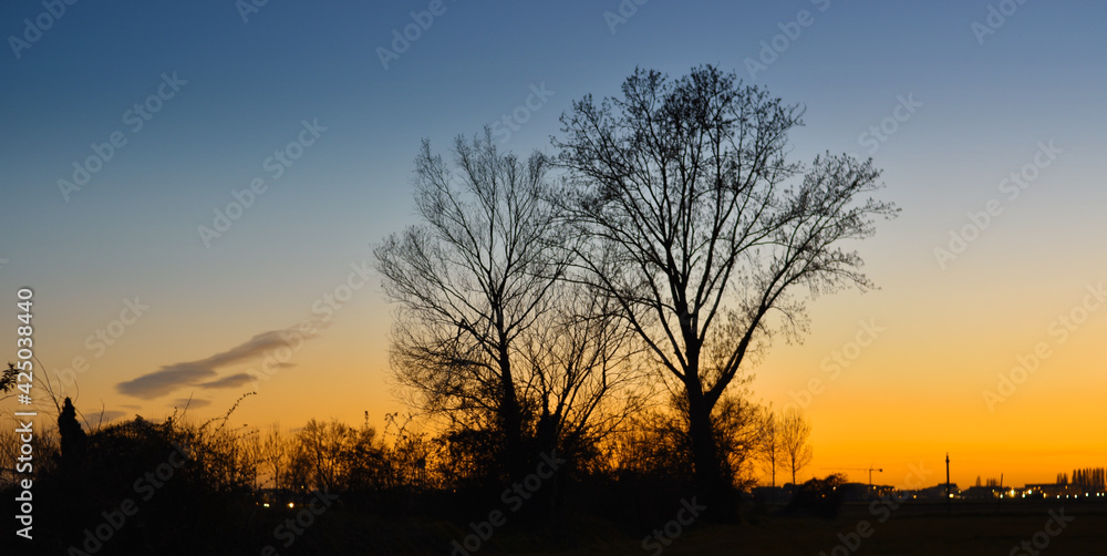 amazing sunset in the countryside