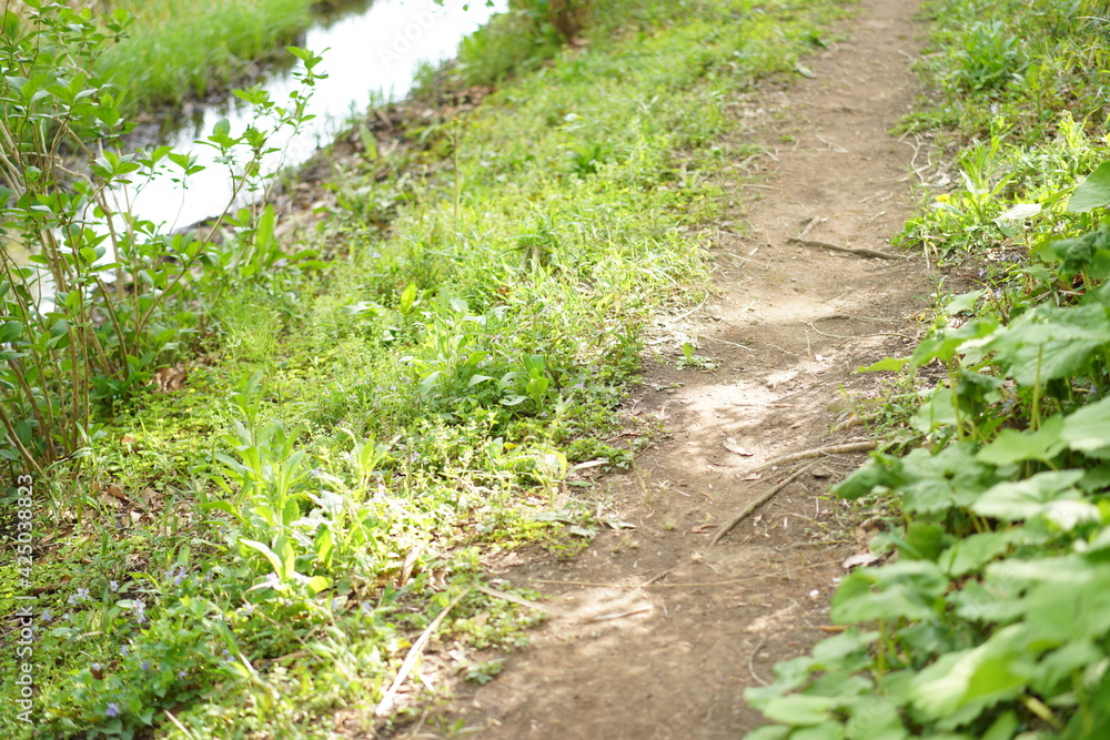 船橋の公園の風景 船橋の公園の風景