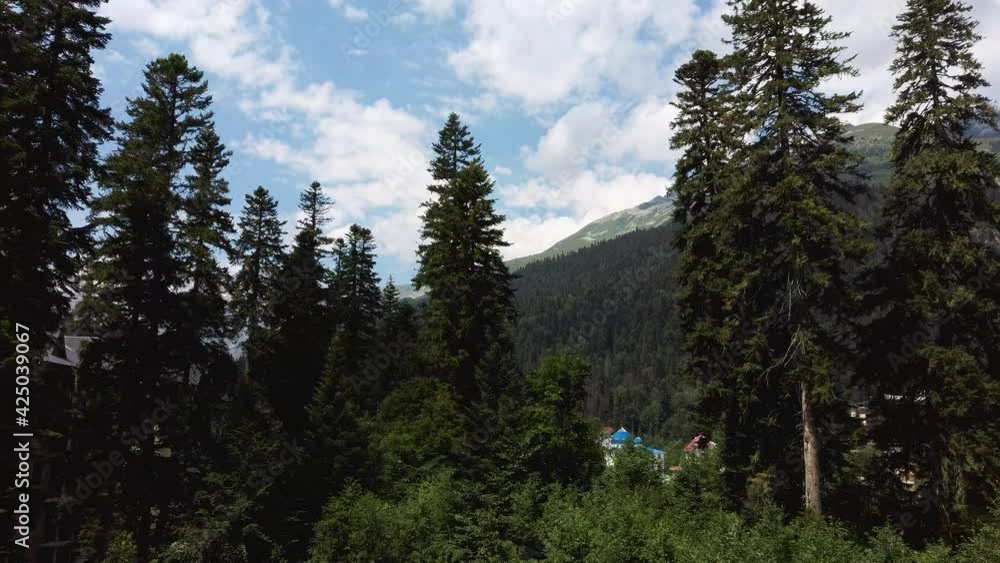 Aerial view of village in mountainous and wooded areas. Bird's eye view of countryside in summertime.