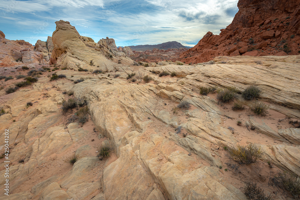 Fototapeta premium Beautiful layer of land in the Wave, Arizona. Landscape photography