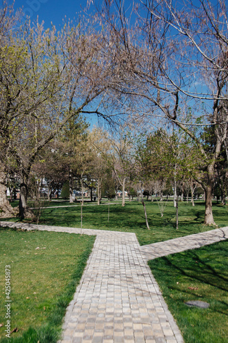 Fototapeta Naklejka Na Ścianę i Meble -  Winding path in botanical garden