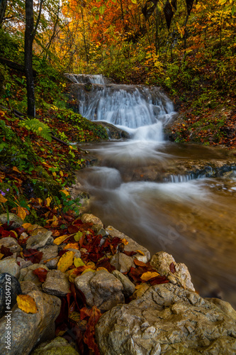 Fototapeta Naklejka Na Ścianę i Meble -  autumn stream in the forest
