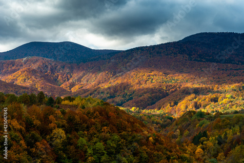 autumn landscape in the mountains