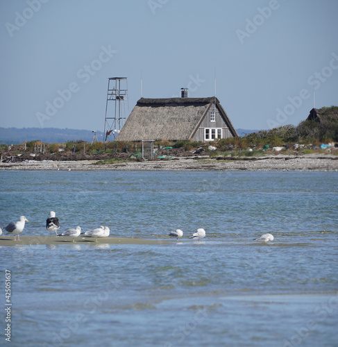 Ausflug Insel Pöhl bei Wismar photo