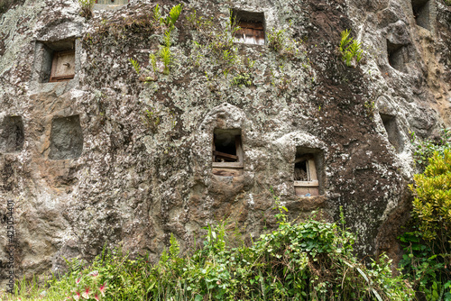 Rock tombs in the steep rock face of the burial site of Lemo in Tana Toraja on Sulawesi. They are drilled into a cliffed rock. The locals usually take three months prepare a grave. 
