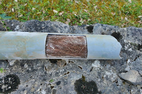 Drainage pipe cut open to show how roots can tangle and block pipes, ultimately leading to blockages and fractures of pipes.
