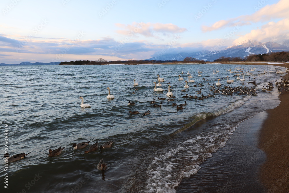 福島県の猪苗代湖と磐梯山の景色 福島県の猪苗代湖と磐梯山の景色