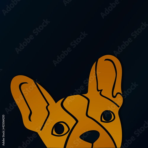 French bulldog peeking