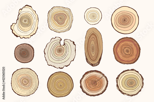 Tree rings hand drawn vector illustrations set