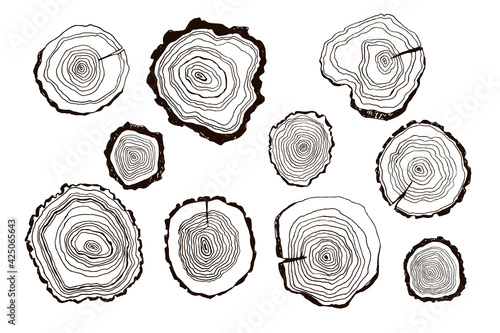 Tree rings hand drawn vector illustrations line set