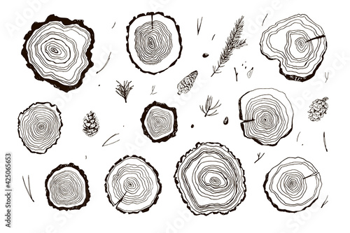 Tree rings hand drawn vector illustrations line set