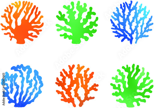 algae and corals marine colored set. kelp are edible underwater plants for the aquarium. oceanic tropical reef inhabitants