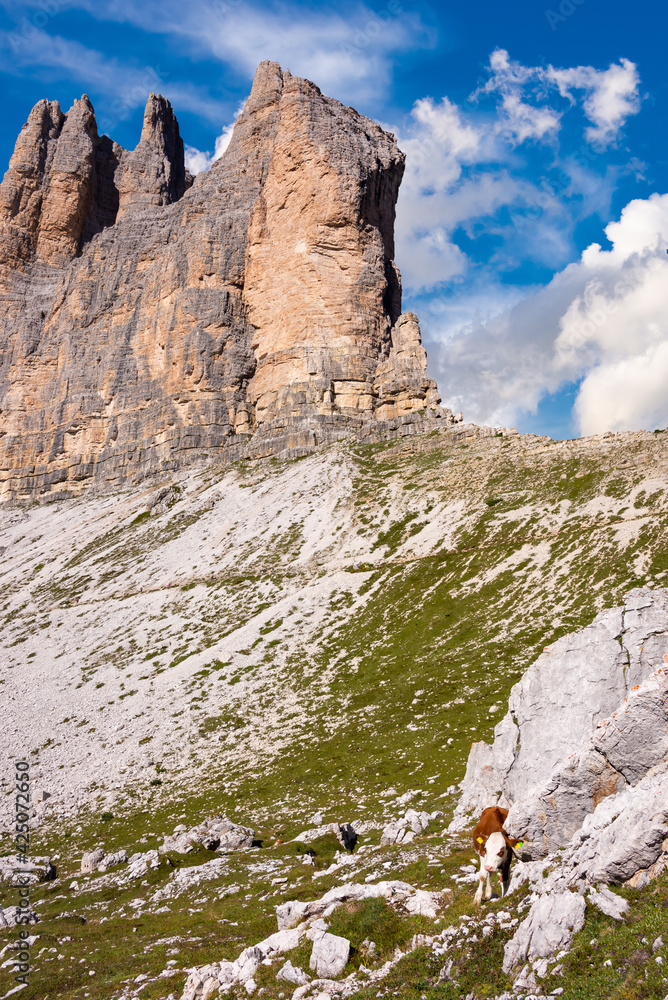 Fototapeta premium Tre cime di Lavaredo mountain peaks in Italy, a famous travel destination in Dolomite mountains