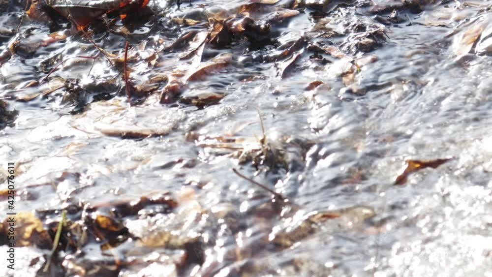 Spring creek as a result of melting snow i Spring creek as a result of melting snow i
