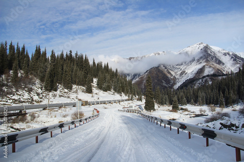 Winter snow-covered road high in the mountains, Christmas trees grow on the slopes of the mountains, in the background peaks of a snow-covered ridge with a low cloud, winter, sunny