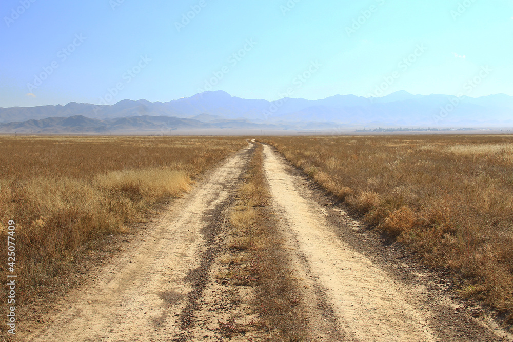 Steppe flat road goes into the horizon against the background of a mountain ridge and clear sky, along the edges of the road there is dry grass, summer, sunny
