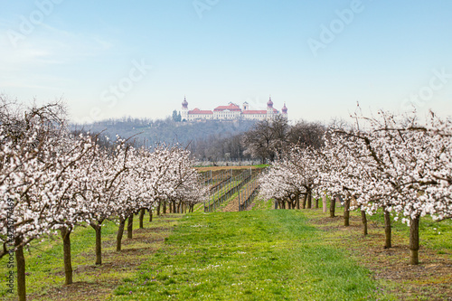 Obraz na plátně Stift Göttweig in der Wachau