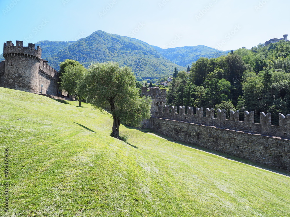 Fototapeta premium Walls of Montebello castle and tree in Bellinzona city in Switzerland