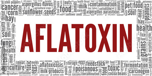Aflatoxin vector illustration word cloud isolated on a white background. photo