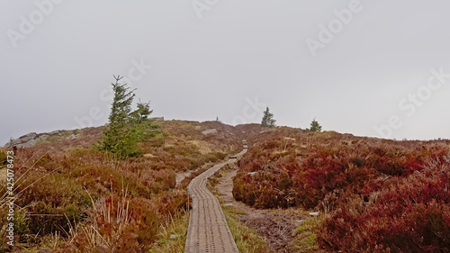 Photography Wooden walkway through heathland in Ticknock mountains , Dublin, Ireland